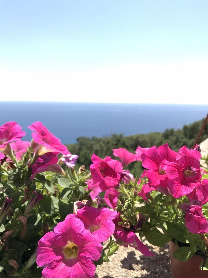 Il Terrazzo - Galatea Casa Vacanze Gagliano del Capo Exterior foto